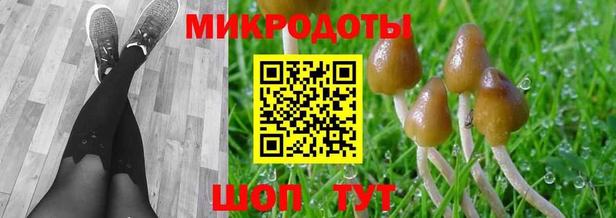 Псилоцибиновые грибы Magic Shrooms Кубинка